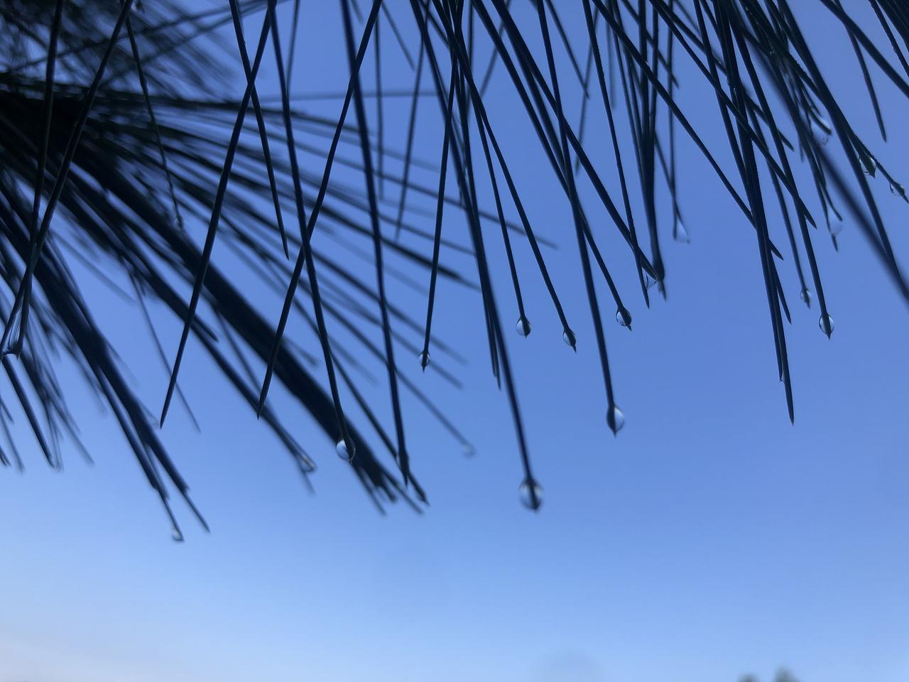 昨晚突然接到表哥的电话
原以为要介绍事情给我做呢？
（我表哥是包工程）
可是万万