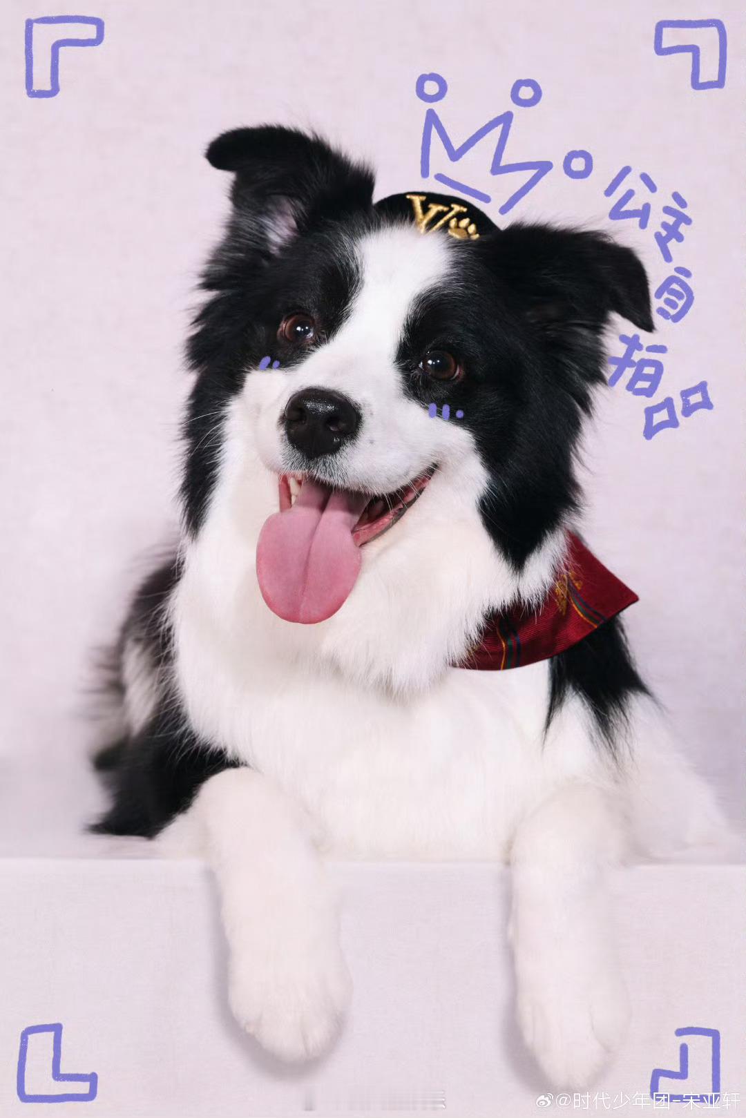 宋亚轩刘耀文张真源晒狗狗涂鸦照 好可爱的小狗和小男孩[抓狂][抓狂][抓狂][抓