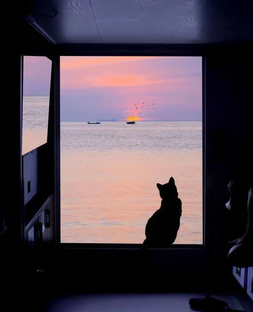 美图欣赏——威海曙光