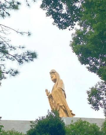 观音菩萨，刷到，用一句评论请回家 。 