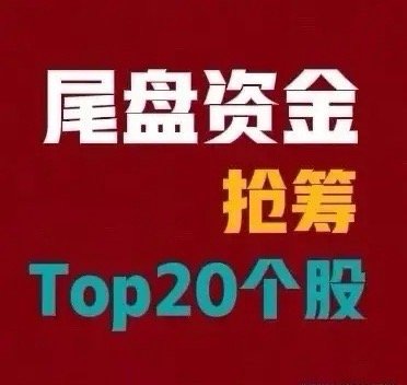 2026年7月29日 A股尾盘最后30分钟资金抢筹前20名1. 长鑫科技，尾盘净