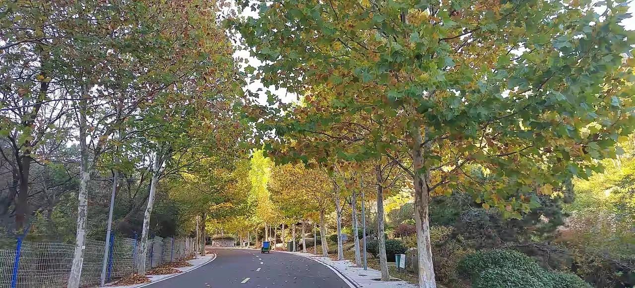 你们家大学生一个月花多少钱？女儿在天津读大二了，她是学艺术设计的，当初走的是美术