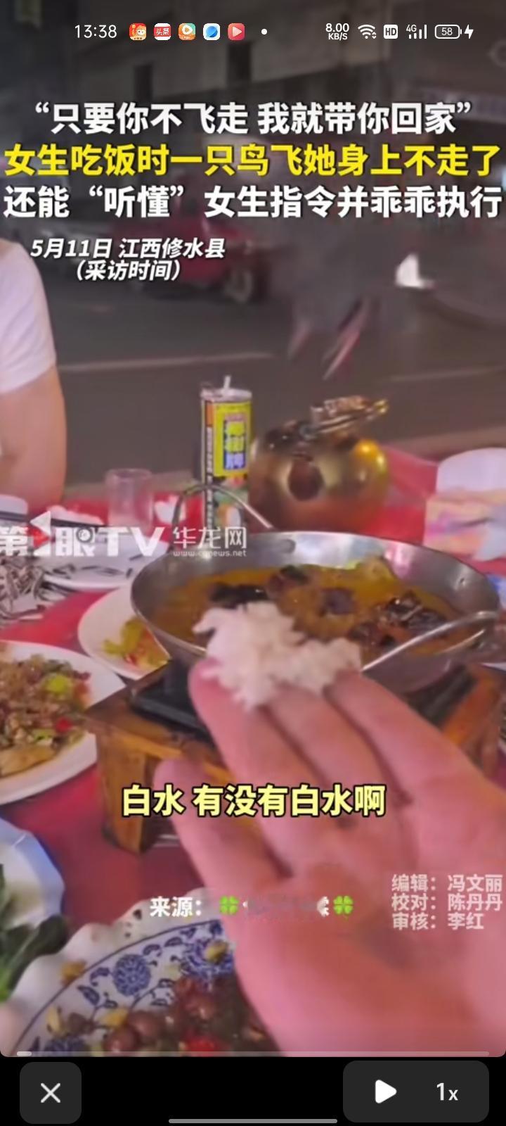 5月7日，九江市修水县。一行人吃饭时，一只鸟飞到女生旁不走了，还能“听懂”女生的