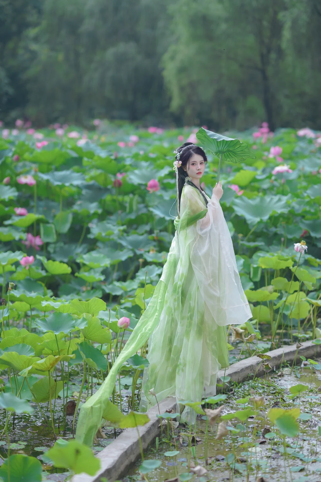 夏天总是要拍一次荷花的～重庆汉服约拍