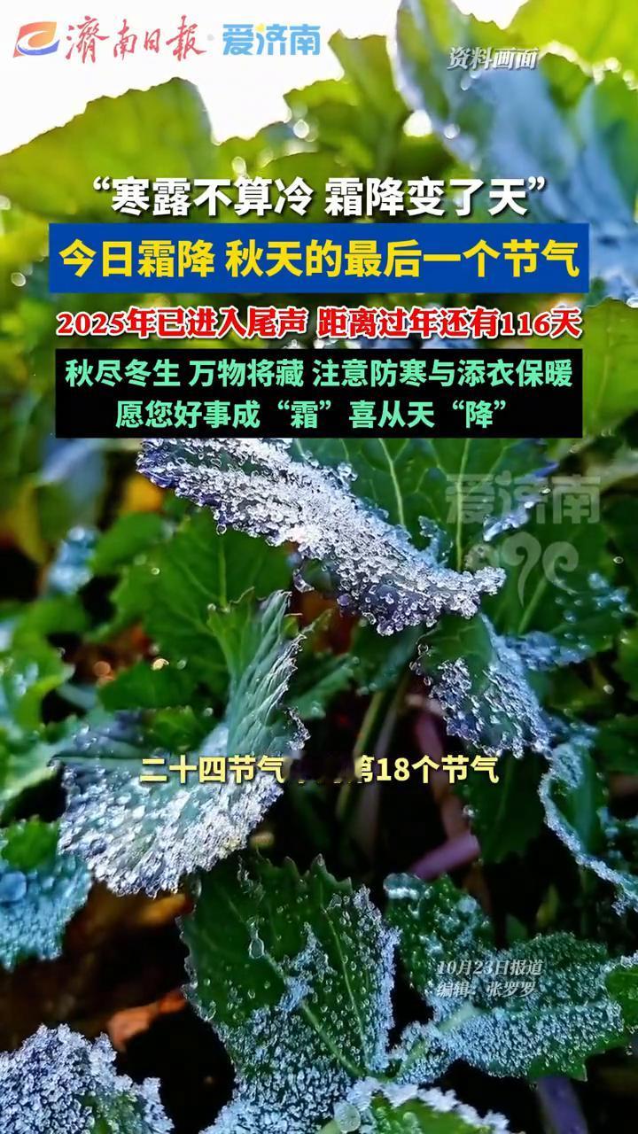 "寒露不算冷，霜降变了天"。今日霜降，秋天的最后一个节气。2025年已进入尾声，