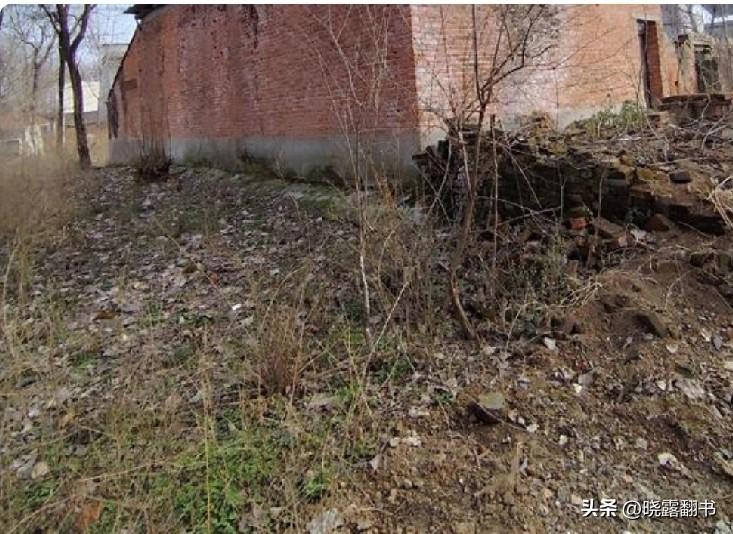 一封寄不出的信：你忘了，是我爹用革命资历托你起步
 
我要上精选-全民写作大赛头