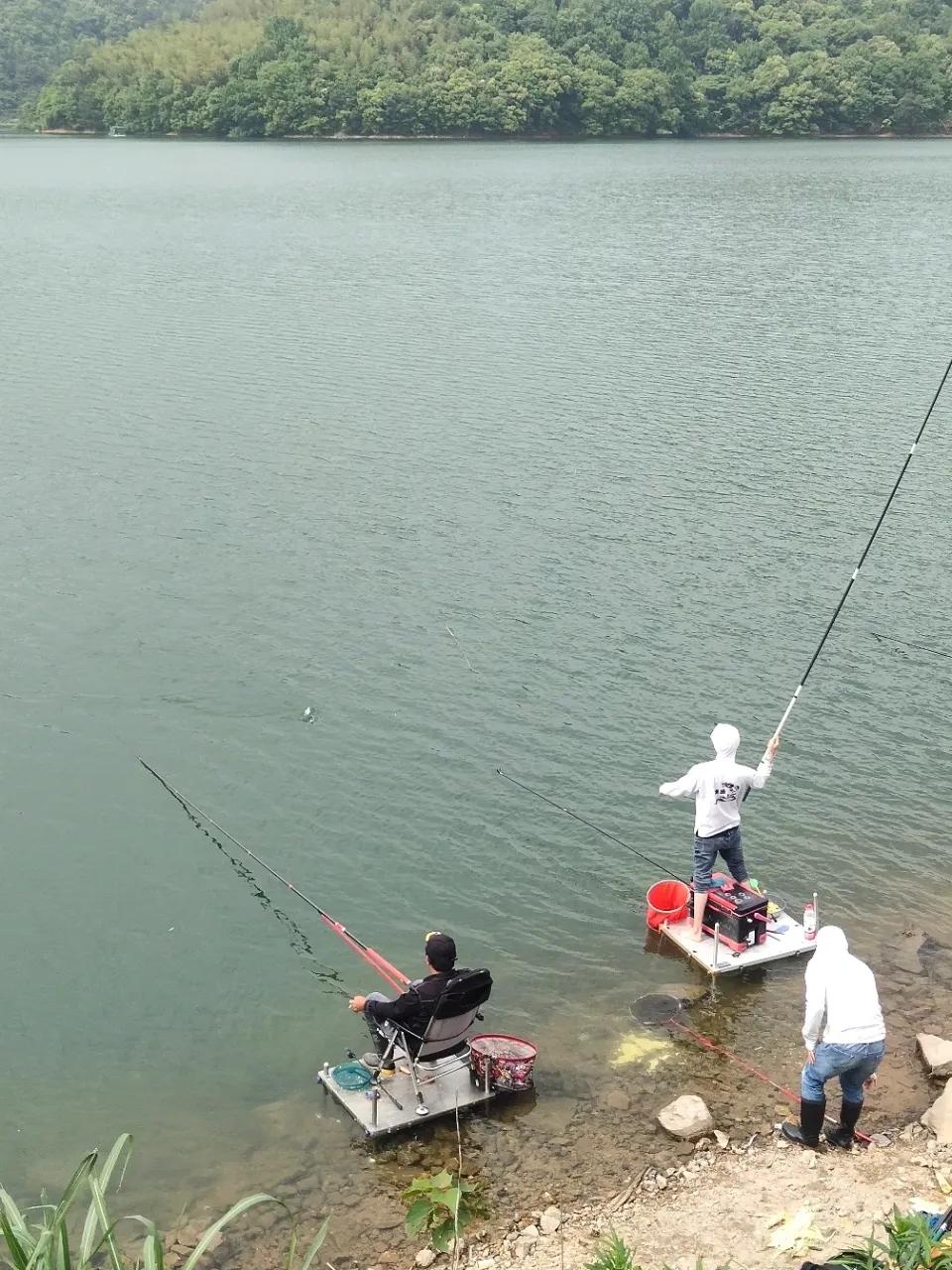 不敢买鱼吃了！想吃鱼自己去水库钓鱼🐟。
看到了315曝光不良鱼贩子在活鱼中加“