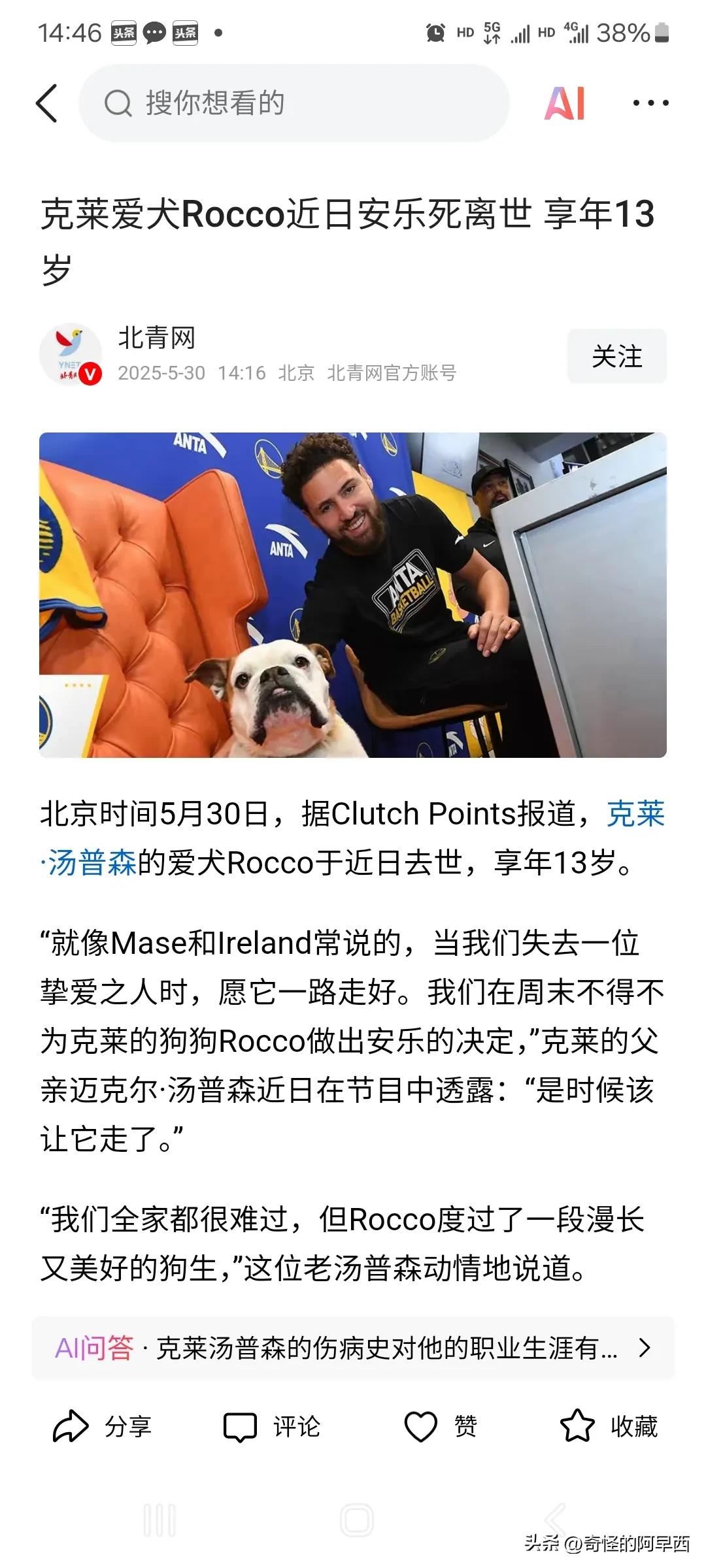 这是我见过的最离谱的体育版狗凭人贵的故事。一只狗因为主人是nba球星克莱汤普森，