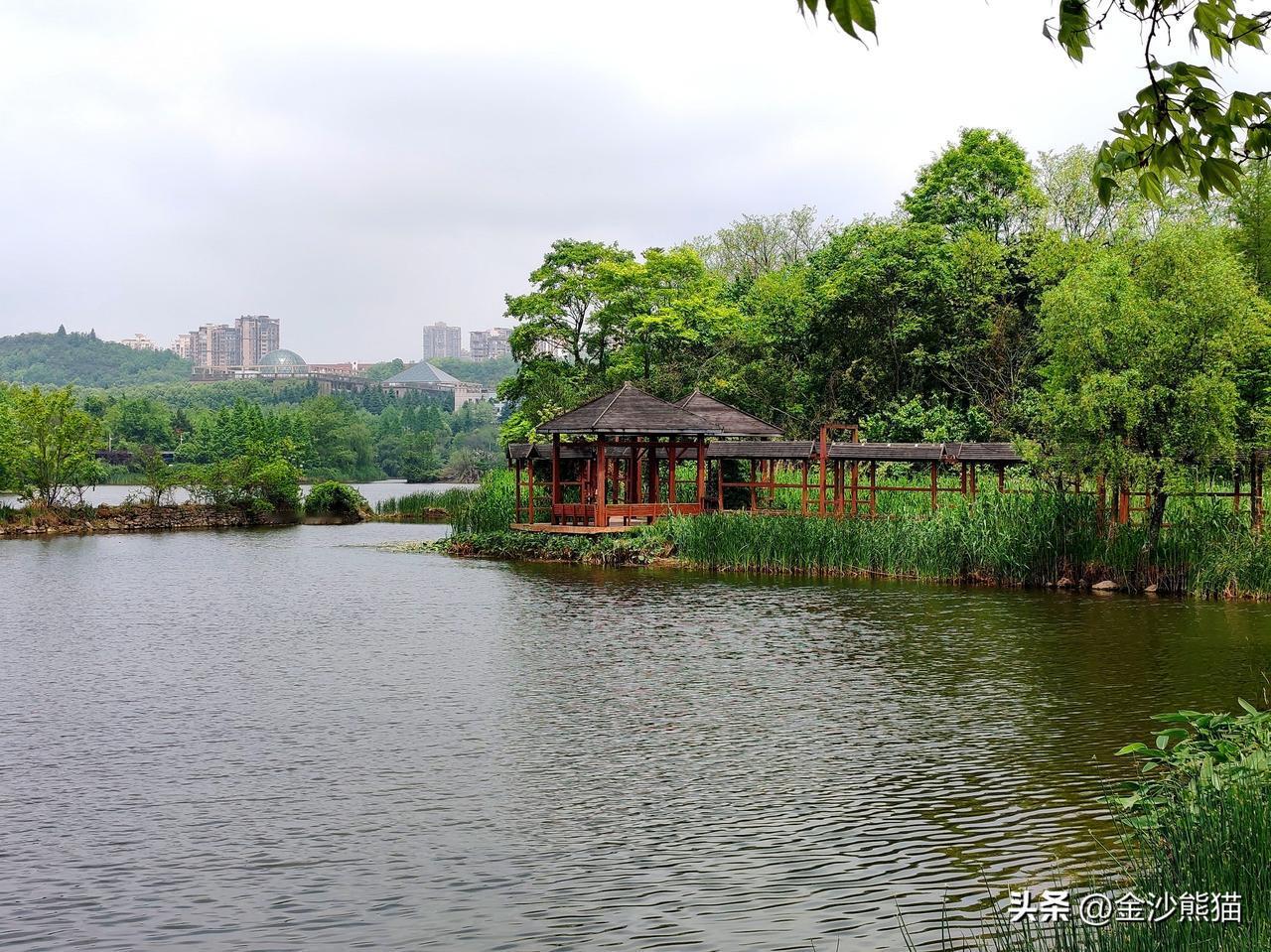 贵阳观山湖公园春意盎然。
成都老年人协会摄影专委会
图文原创 彭文林
组稿编辑 