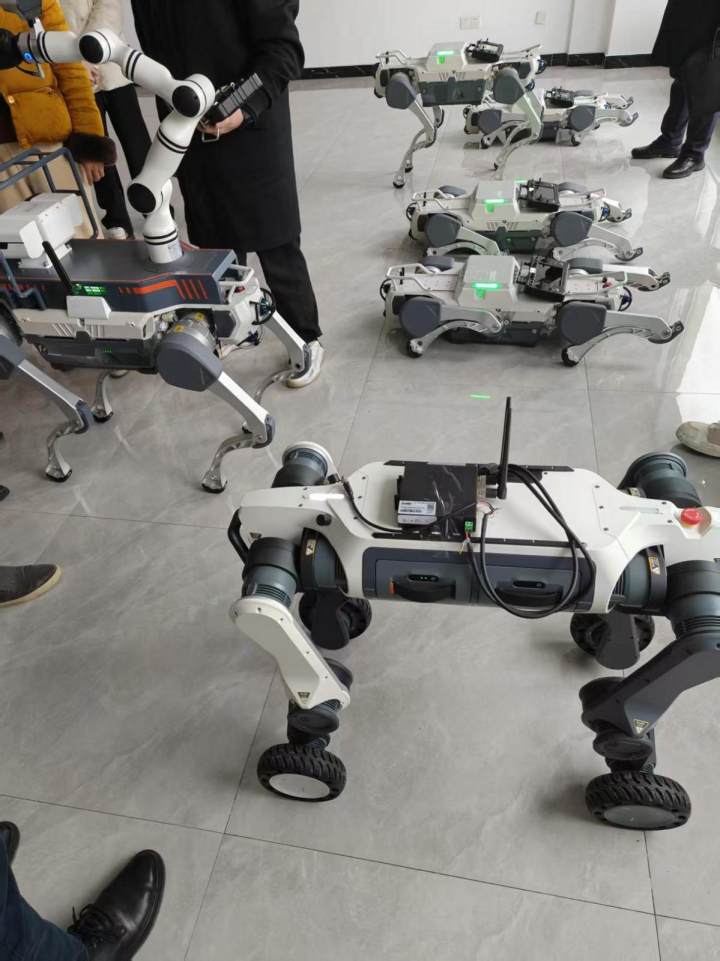 在机器人产业园“遛狗”：这家杭企要让机器狗横穿室内外