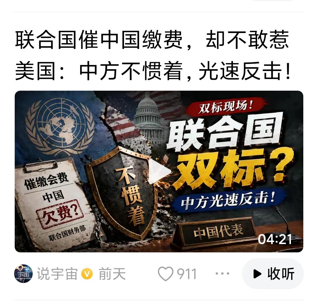 鞭打快牛，莫非联合国会费也专欺老实人？