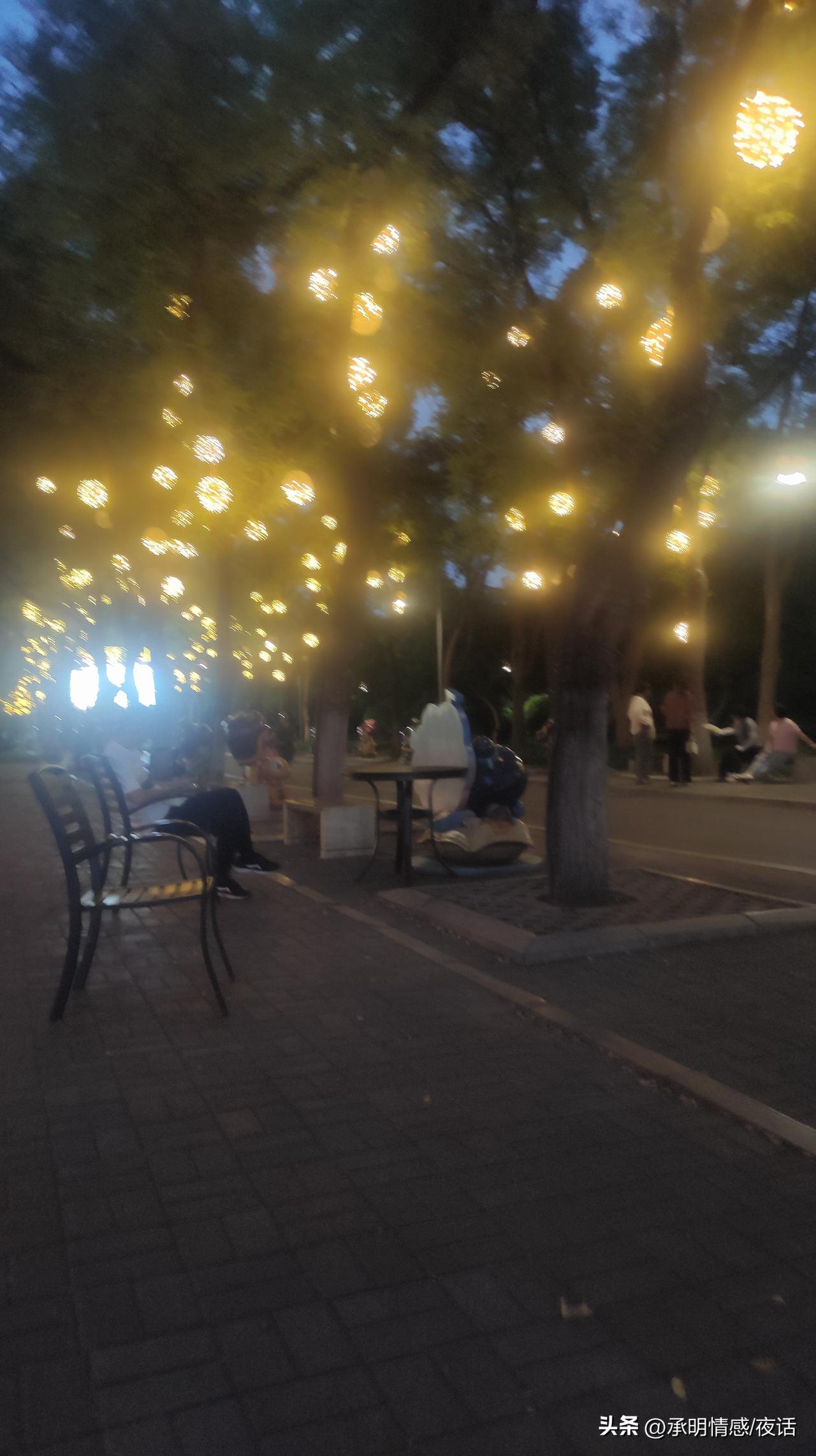 夜晚的公园，灯光如梦，树影婆娑，静谧而美好。公园治愈系美景