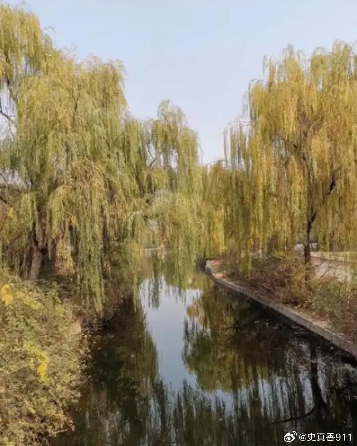 千禧年，51岁的张艺谋请19岁模特冠军王海珍吃大餐喝红酒，喝多的两人互相搀扶回了
