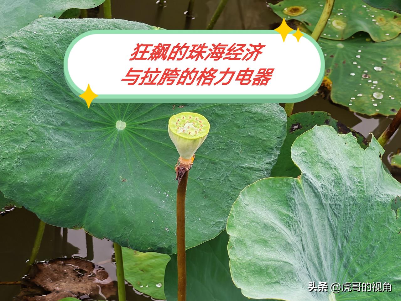 狂飙突进的珠海与表现失色的格力。2026年前三季度珠海的经济表现格外亮眼，5.9