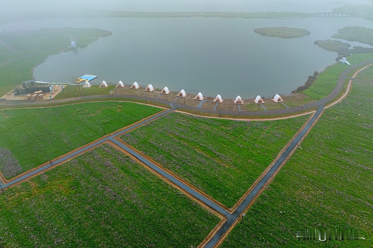 雾漫龙门湖
       雾霭轻拢龙门湖，湿地公园宛若水墨仙境。花岛之上，缤纷花