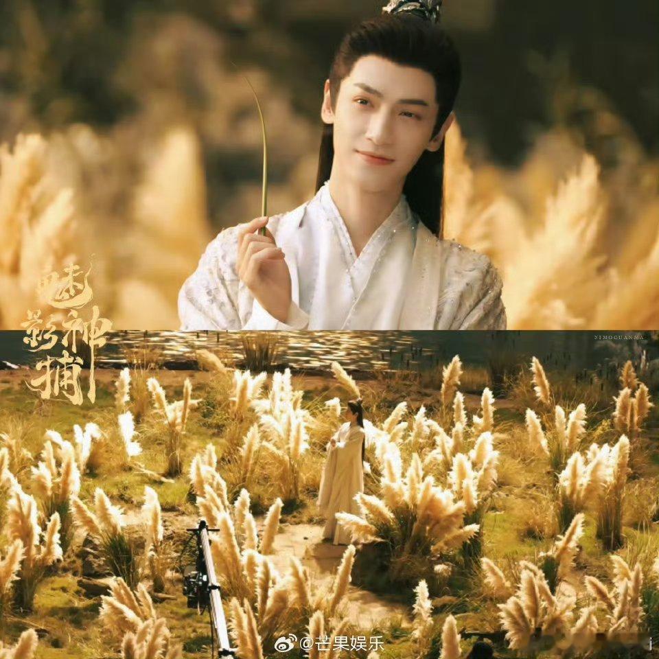 罗云熙、方逸伦、沈羽洁《魅影神捕》取得发行许可证，恭喜🎉期待早日播出！！