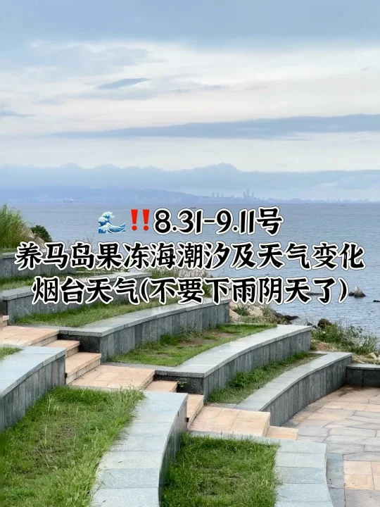 📍8.31-9.11号烟台养马岛果冻海潮汐及天气