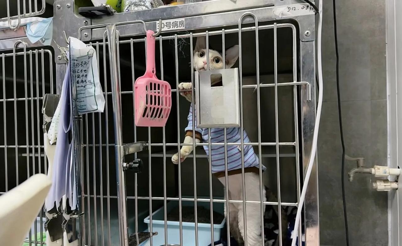 对小德纸来说，不能出来玩才是最痛苦的事，抱着就老实了！粉色衣服脏了，换了件蓝色的