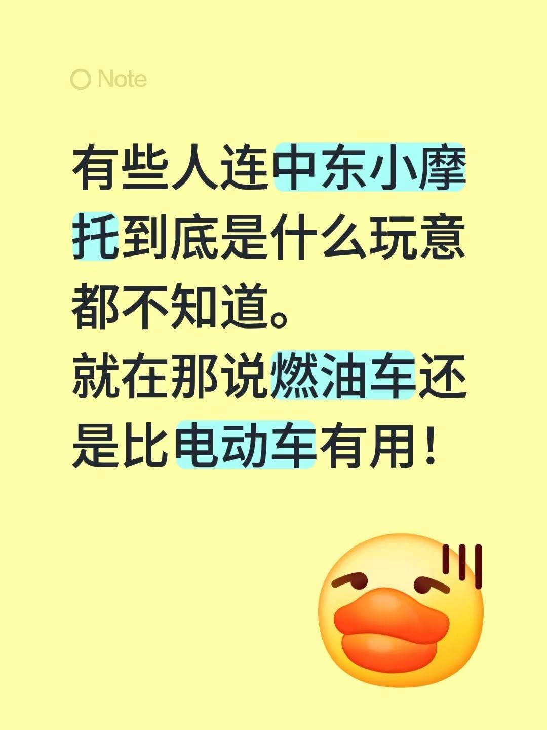 有些人连中东小摩托到底是什么玩意都不知道。就在那说燃油车还是比电动车有用！油车v