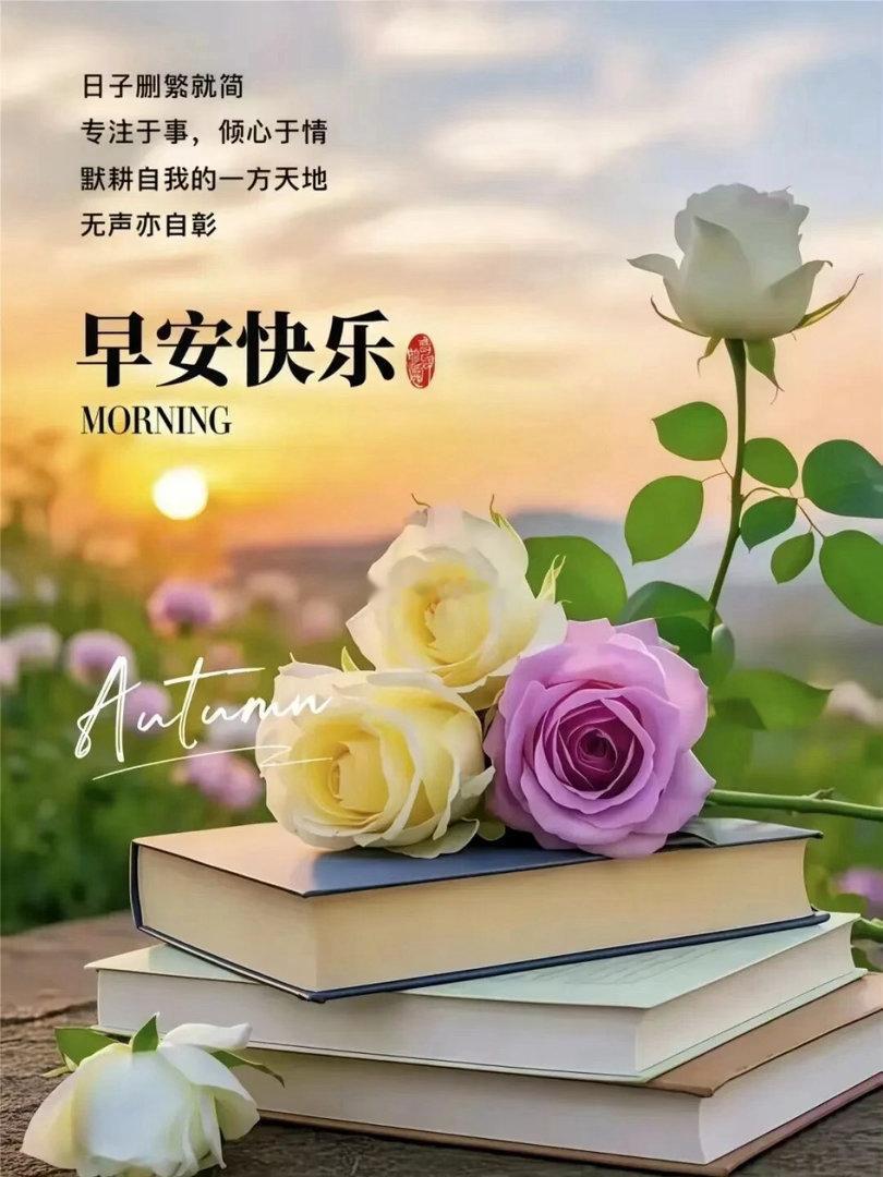 早上好！新的一天，加油吖！岑先生