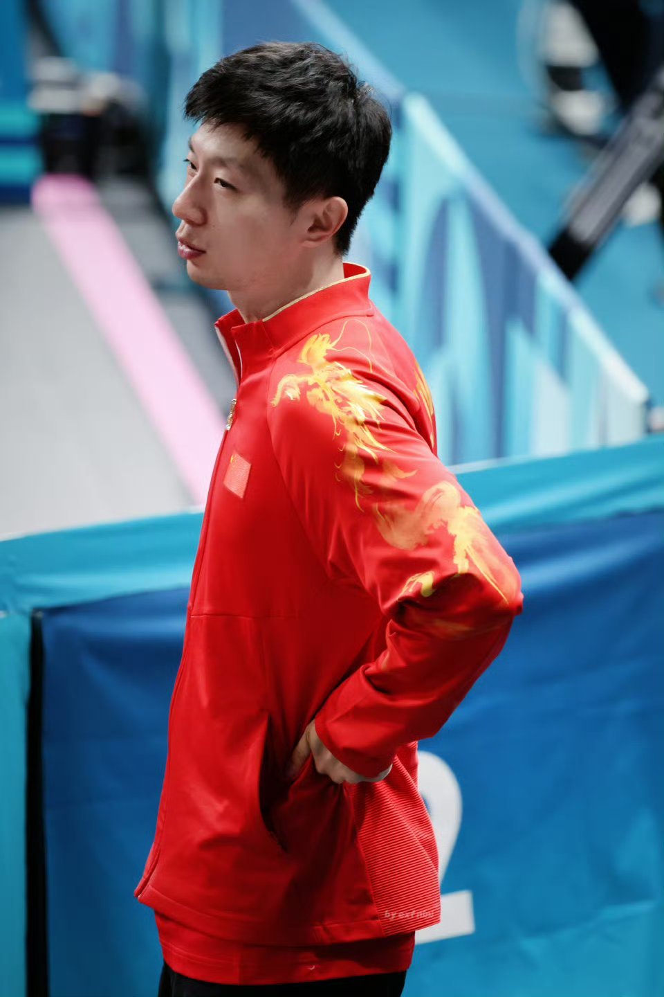 被龙龙训哪是挨说啊，分明是带着温度的提点——像被阳光晒过的被子裹住，有点暖烘烘的