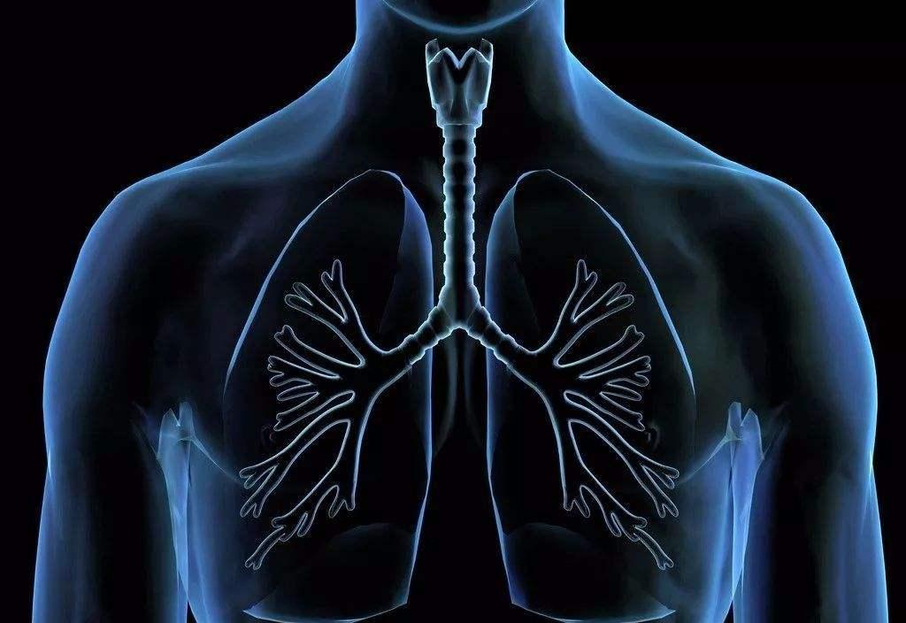 痰是肺的镜子，出现这3种痰，可能是肺出现了问题，三招教你缓解

“我每次咳嗽都感