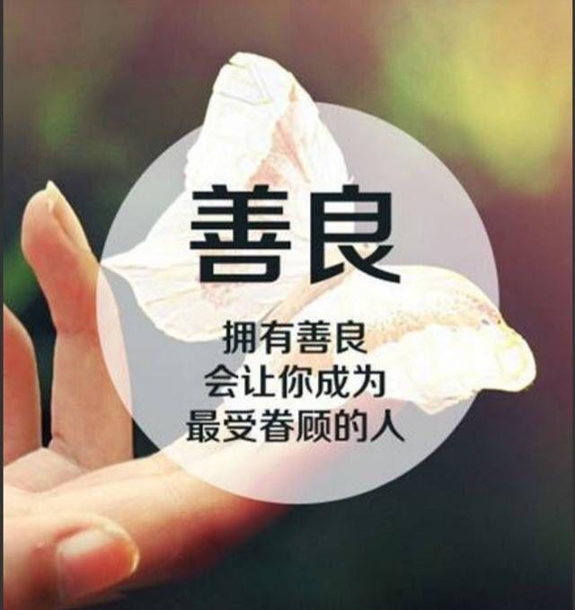 而善良则拥有一种独特的魅力，它无关容貌，却能如春风化雨般温暖人心。善良的人就像黑