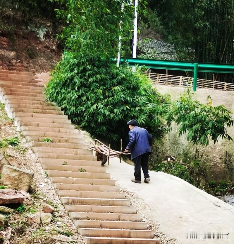 我发现根本就没人在意你的死活
今年3月，我的舅舅因为交通事故去世了，留下两个儿子