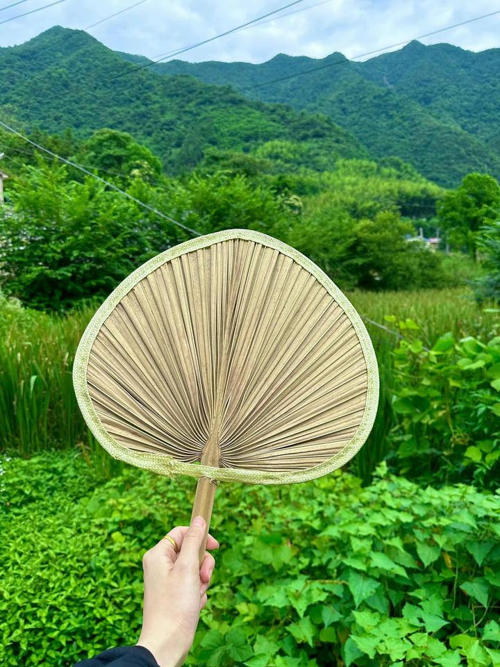 蝉鸣的夏天