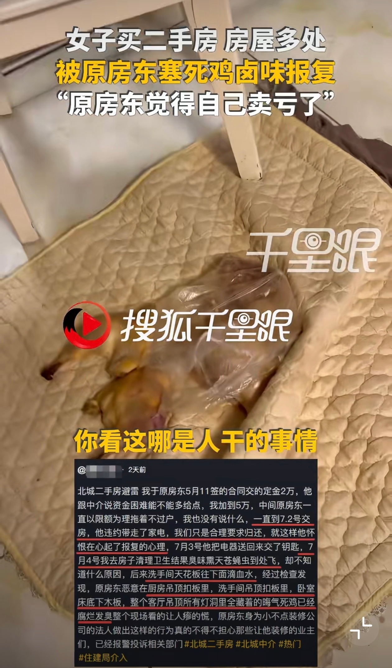 卖亏了就往人家天花板塞死鸡？那房价涨了是不是得跪着求买家还回来？成年人连这点契约