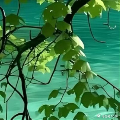 🥀阳光信用🥀每日一善🥀“与善人居，如入芝兰之室，久而自芳也。”和善良的人相