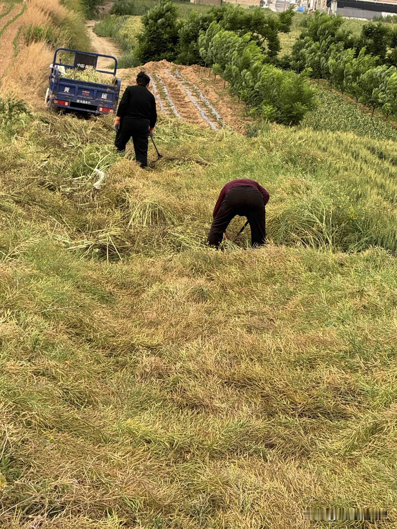 我认为合适的。
爱可以培养，感情可以培养。但必须是合适的。
其实婚姻说到底，最好