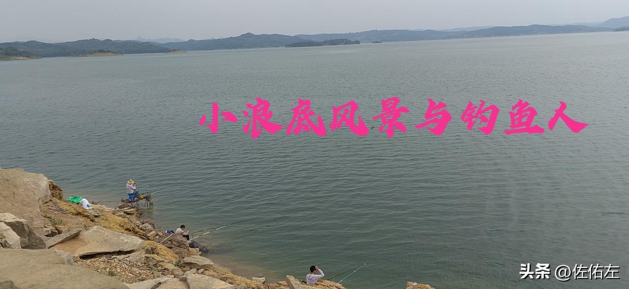 钓鱼人的执迷是让人无法理解。
老公的朋友从千里之外驾车赶到洛阳只为到小浪底钓鱼。