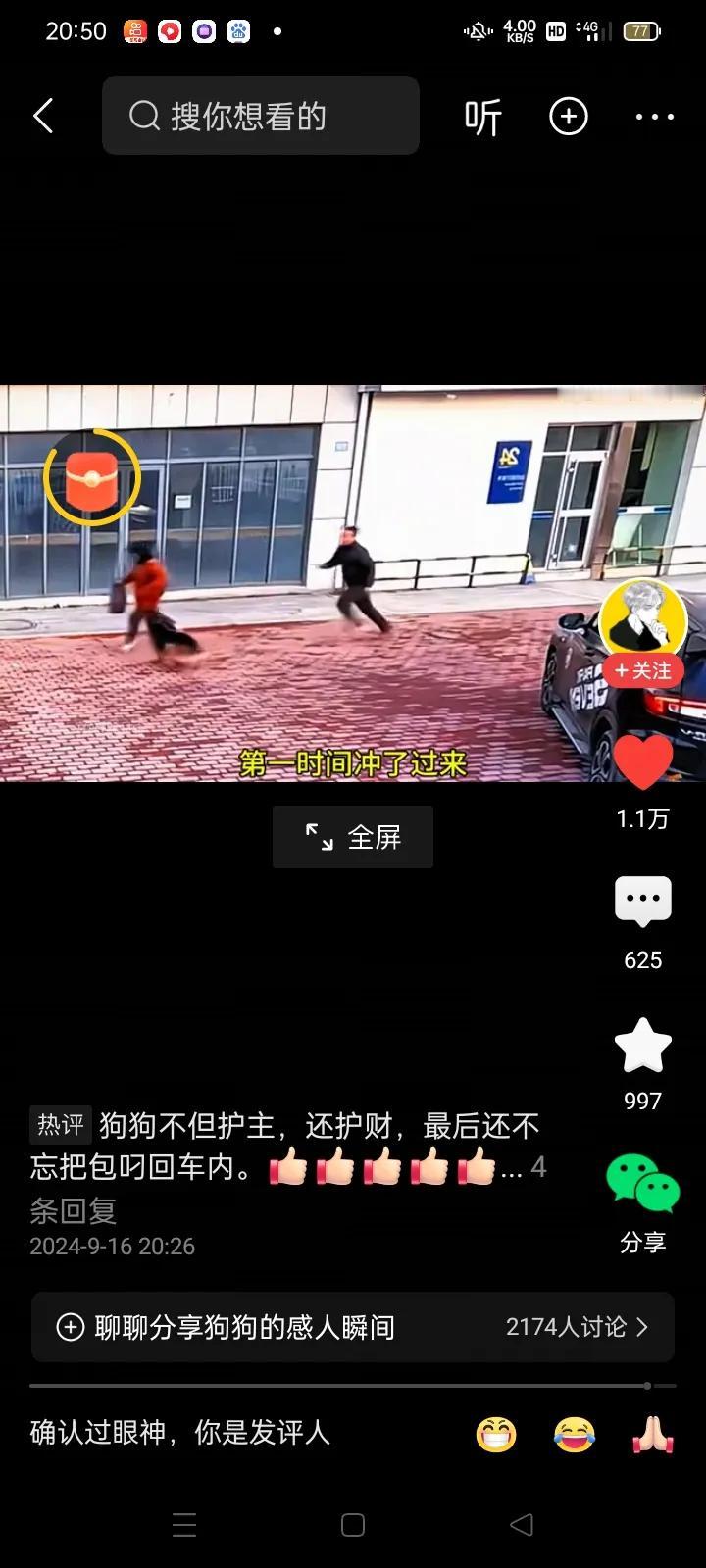 一天上午十点多钟，湖南的一个中年男子开车并载上自己家里的宠物狗，一同前往银行取钱