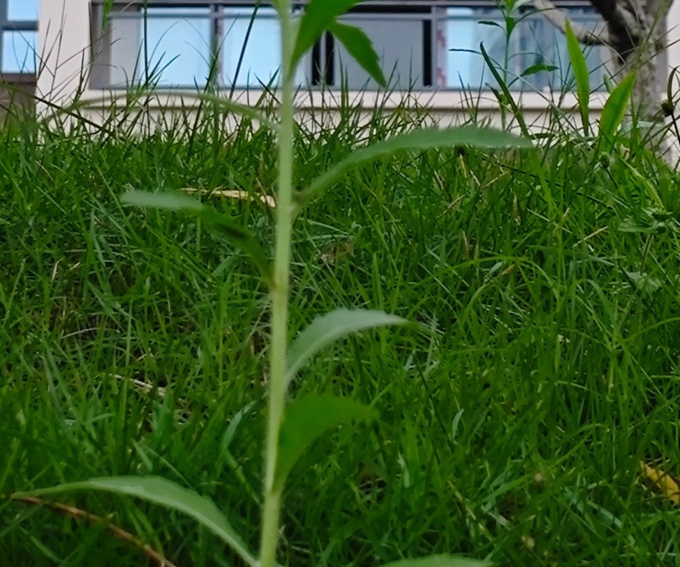 管住嘴，少灾祸，少交人，无烦恼。生活嘛，既有繁杂的琐事，也有美妙的幸福。 重庆·