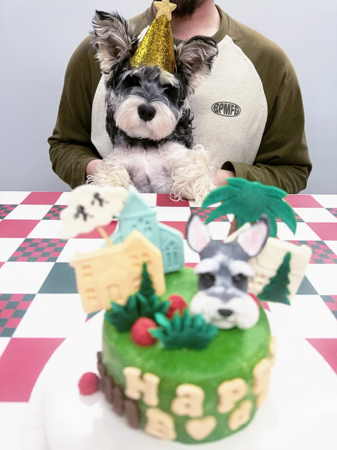 我的噗噗一岁啦