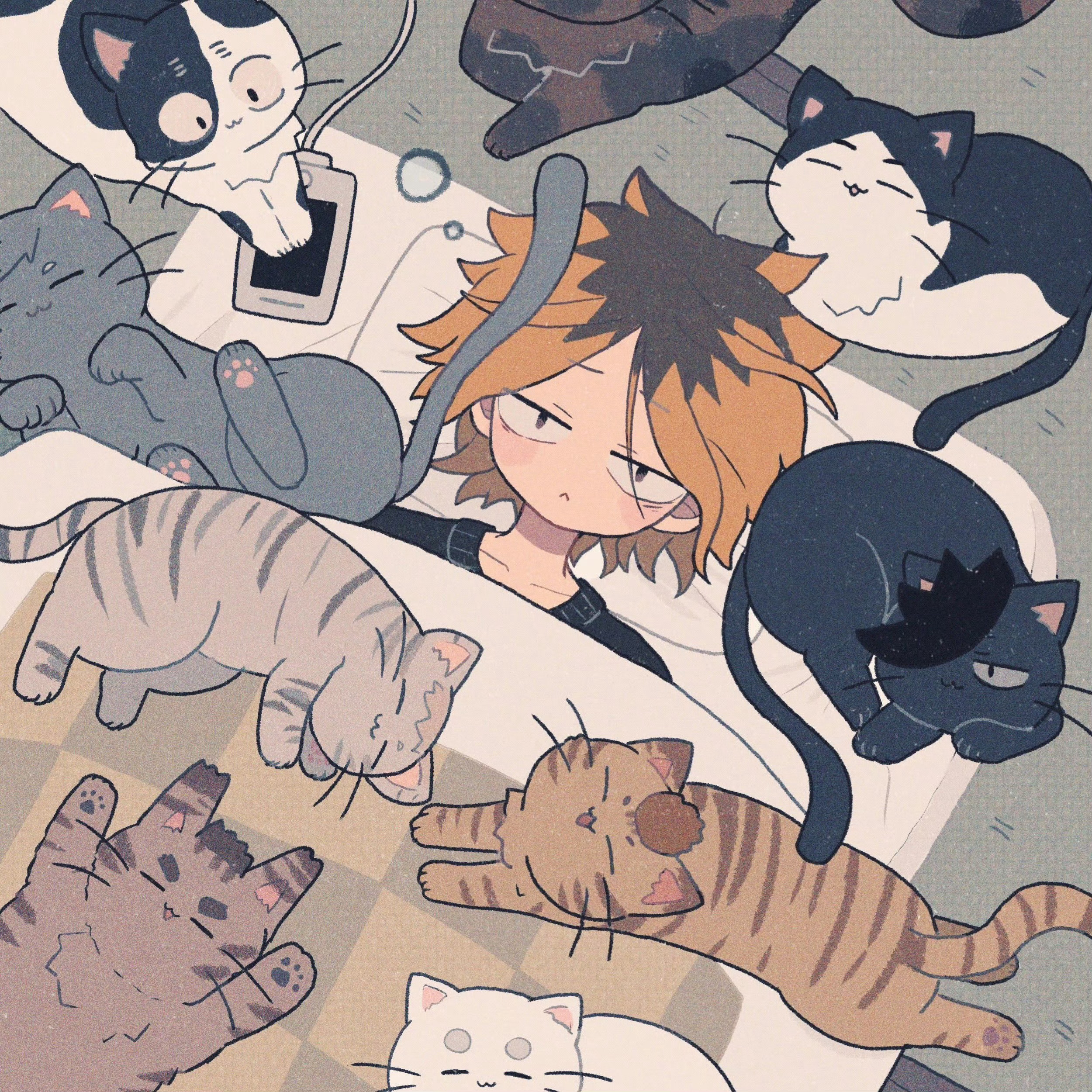 #排球少年# 天呐研磨猫猫也太可爱了吧！！！[喵喵] (x：rii_A_ ​) 