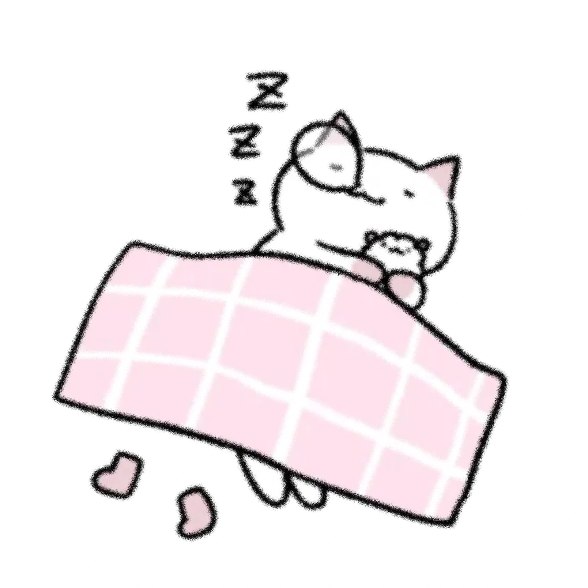 𝚆𝚘𝚗𝚍𝚎𝚛 𝙲𝚊𝚝 * 