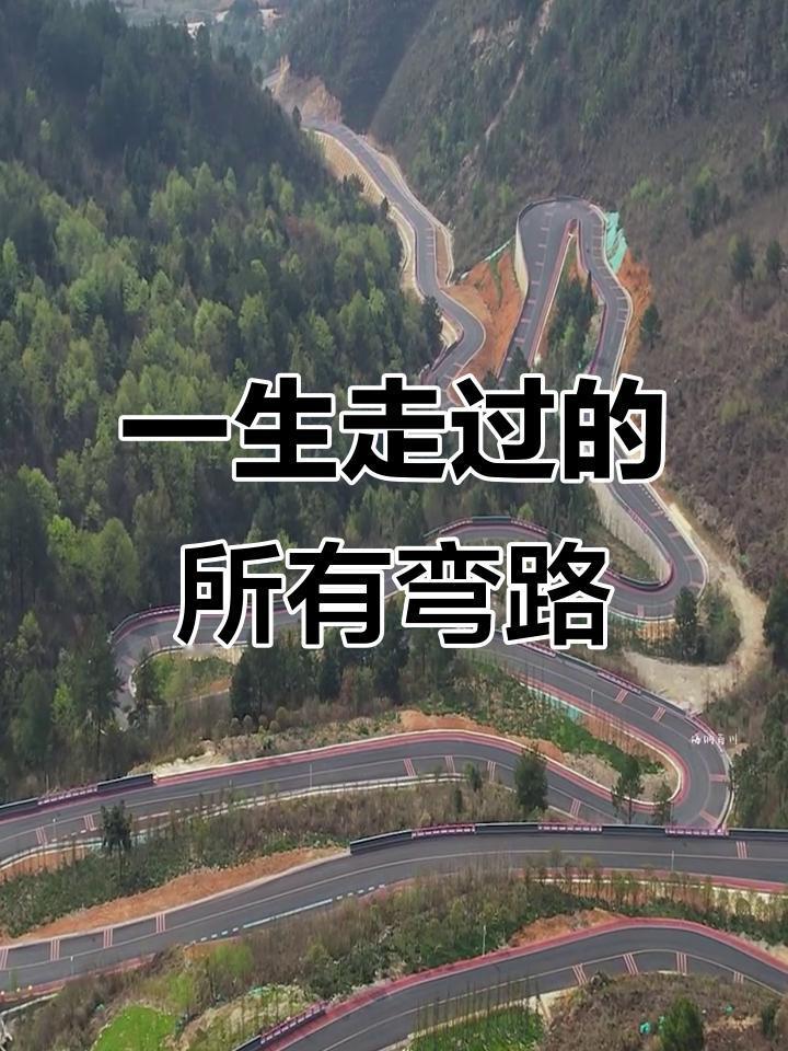 每个人都得走好自己的人生路，这可不是句空话。就像爬山，有人一开始猛冲，结果体力不