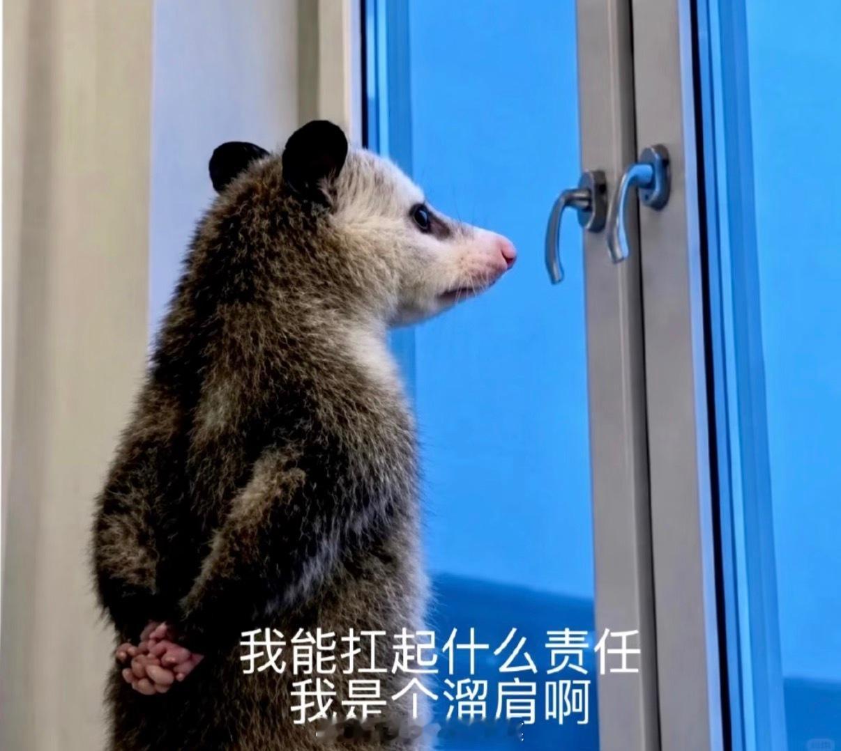也被sx了很多，只想说我只是单纯的去线下干活，无论何时皮下只会单纯的爱棍铲，不参