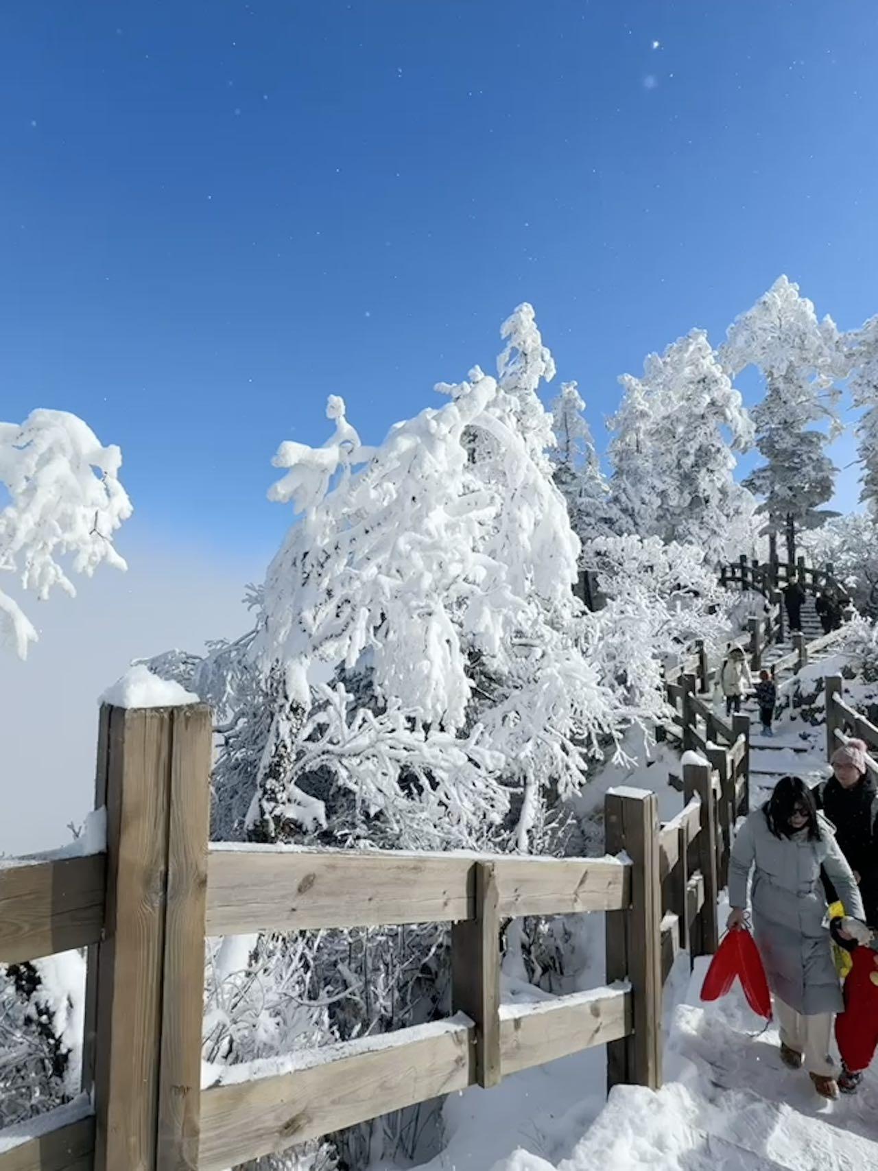 你知道哪些描写雪的诗句呢?
这里精选几句意境各异的咏雪诗：
边塞奇寒
岑参「忽如