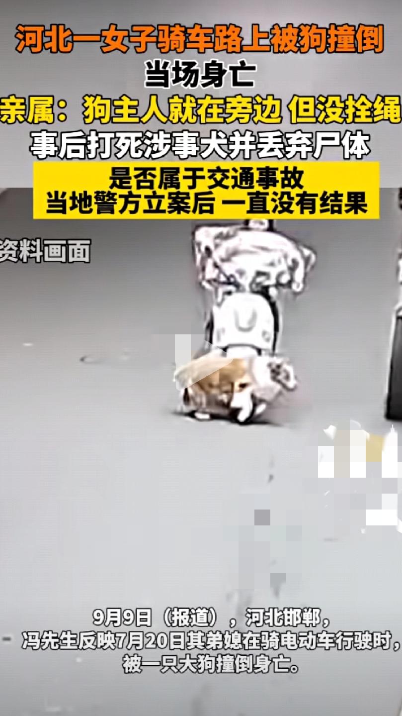 刚看到这事

我真的气得不行！

河北邯郸一女子骑电动车，被只没拴绳的大狗撞倒，