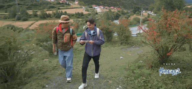 知道张铎爱陈松伶，没想到能爱得如此疯狂。
张铎在爬山的时候 ，直接从口袋里面掏出