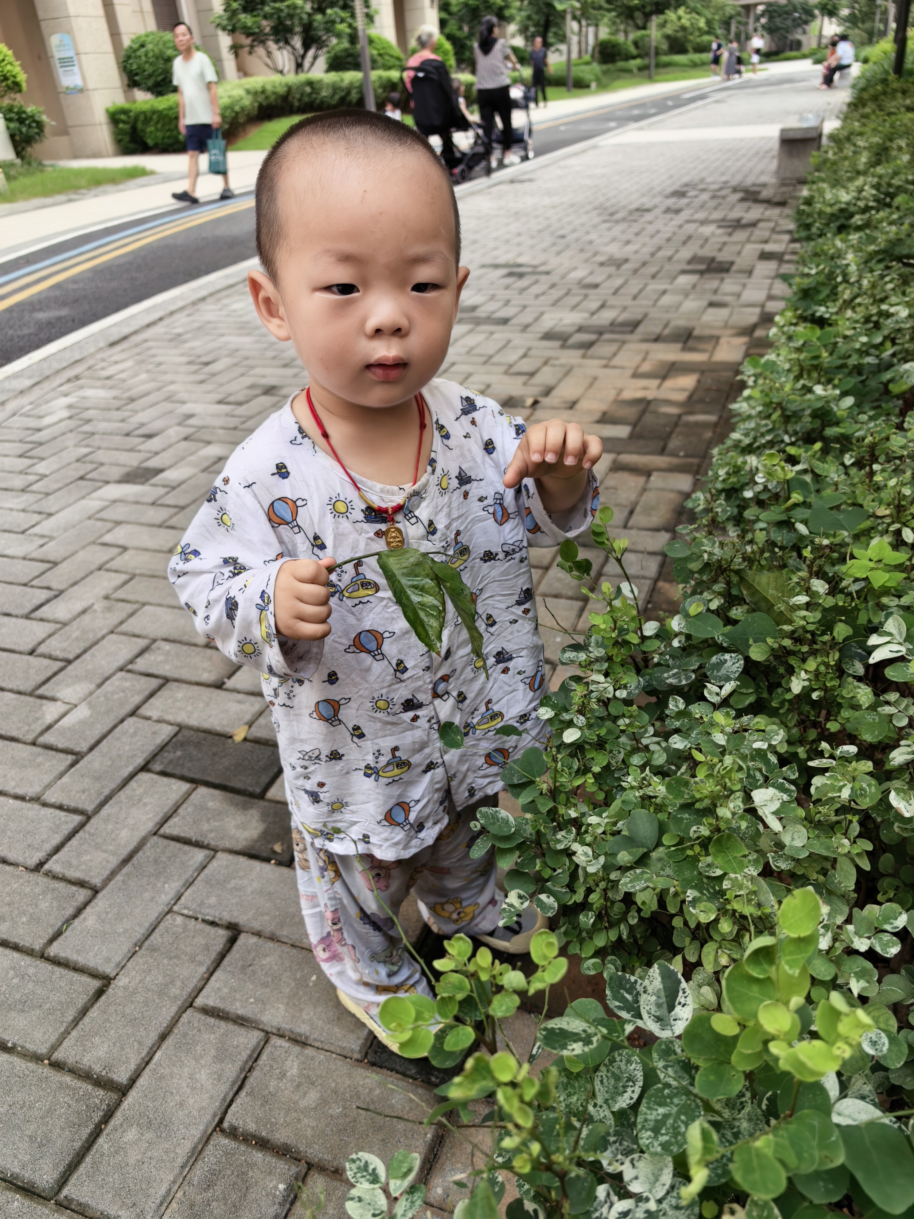 又是带娃的一天，乐乐这个年纪，精力真充沛，我跟在他屁股后面追的累趴了亲子时光带娃