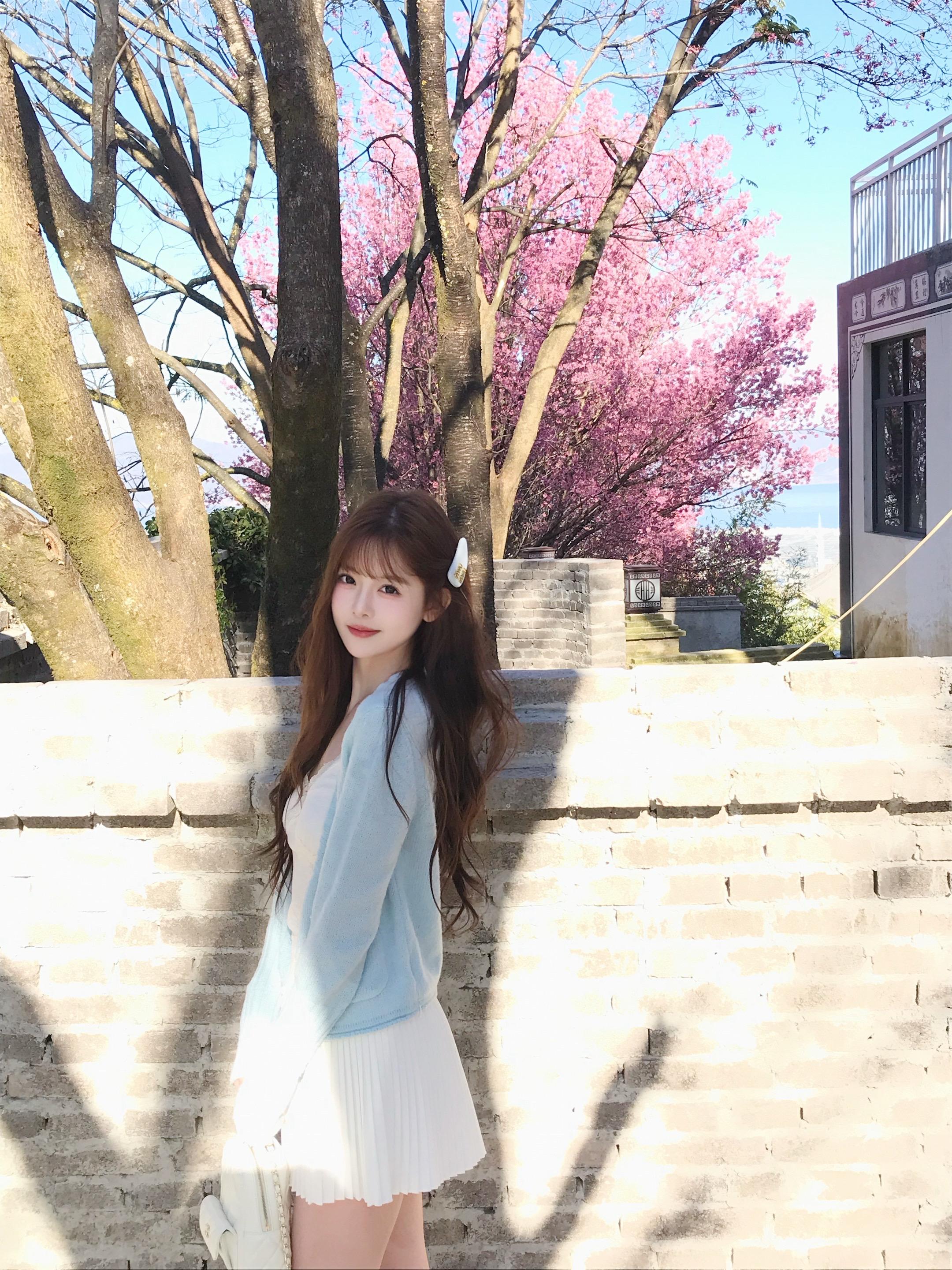 比春天先来的是大理的樱花🌸。