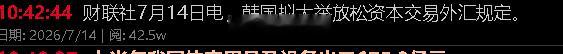 棒子还想其他的外资来挡住高杠杆 