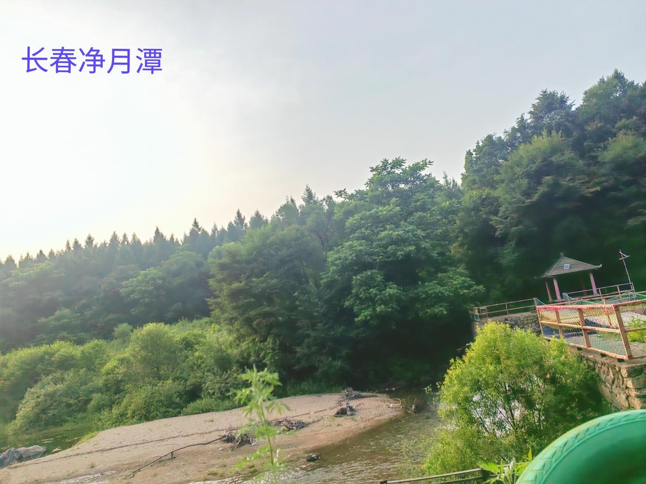 春天的长春周边，美景真不少。净月潭必须得去，三十万株郁金香和海棠在四五月接力绽放