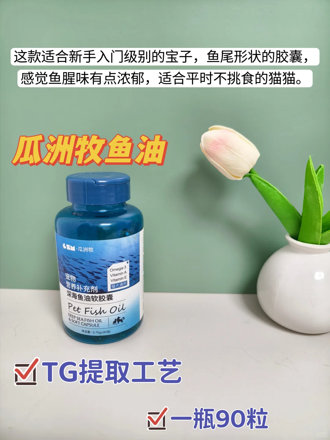 猫咪鱼油科普！附带真实喂养感受！新手码住！