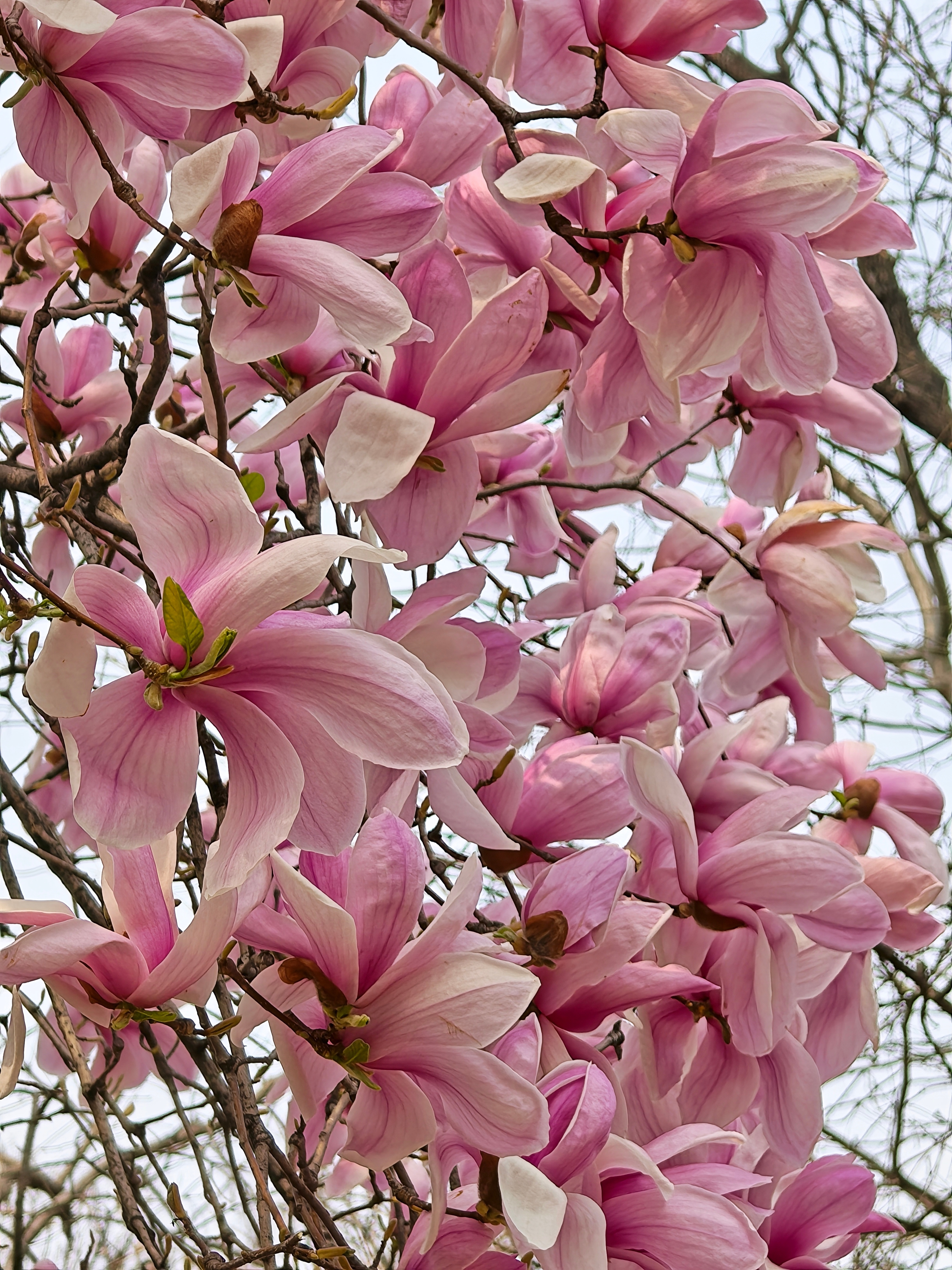 无论顺境和逆境都感恩 