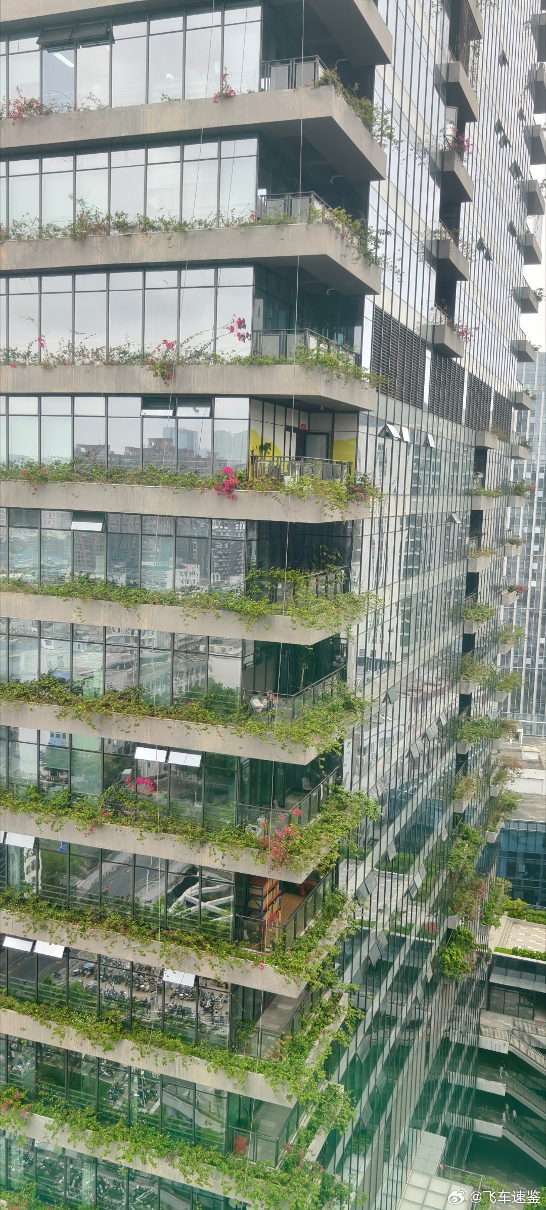 只有午饭后的那几十分钟才能放空一下 